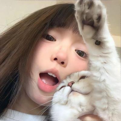 侦探奇克·卡特